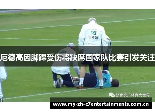 厄德高因脚踝受伤将缺席国家队比赛引发关注